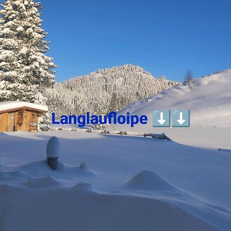 Haus Jessica Incl National Park Sommercard Mittersill Esterno foto