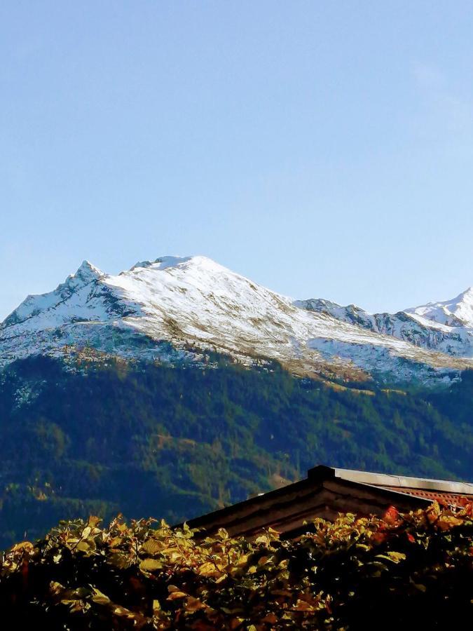 Haus Jessica Incl National Park Sommercard Mittersill Esterno foto