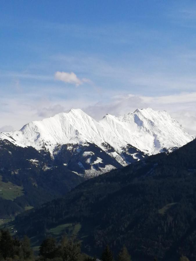 Haus Jessica Incl National Park Sommercard Mittersill Esterno foto