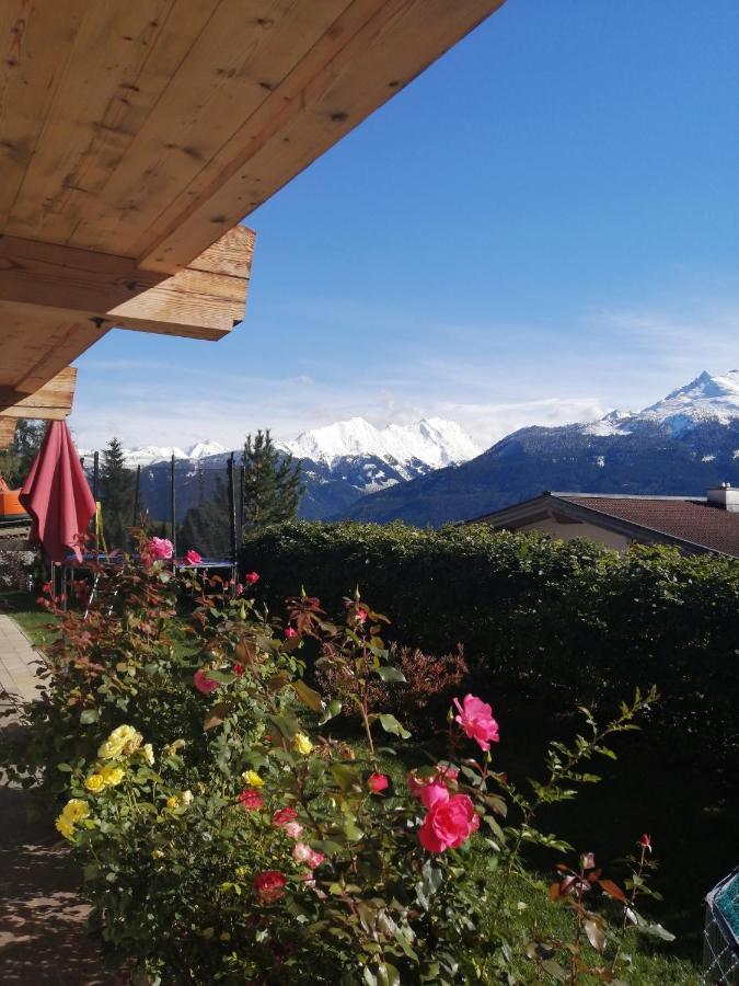 Haus Jessica Incl National Park Sommercard Mittersill Esterno foto