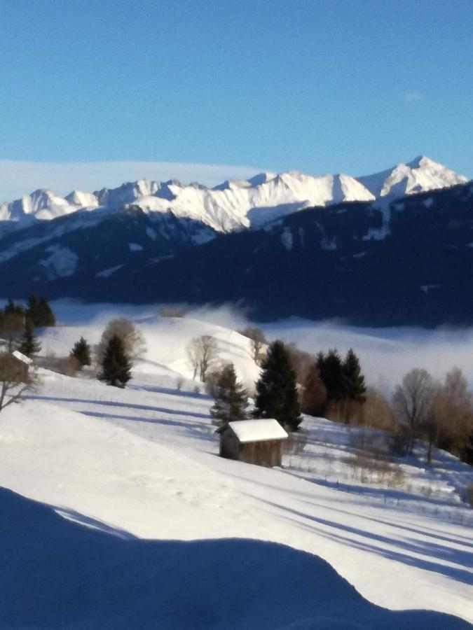 Haus Jessica Incl National Park Sommercard Mittersill Esterno foto
