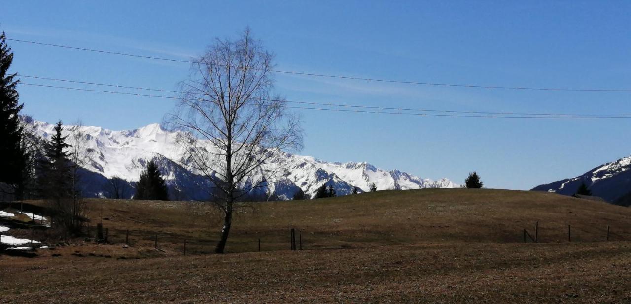 Haus Jessica Incl National Park Sommercard Mittersill Esterno foto