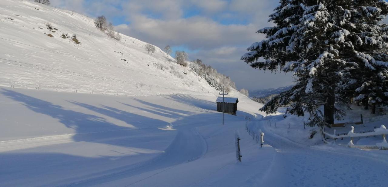 Haus Jessica Incl National Park Sommercard Mittersill Esterno foto